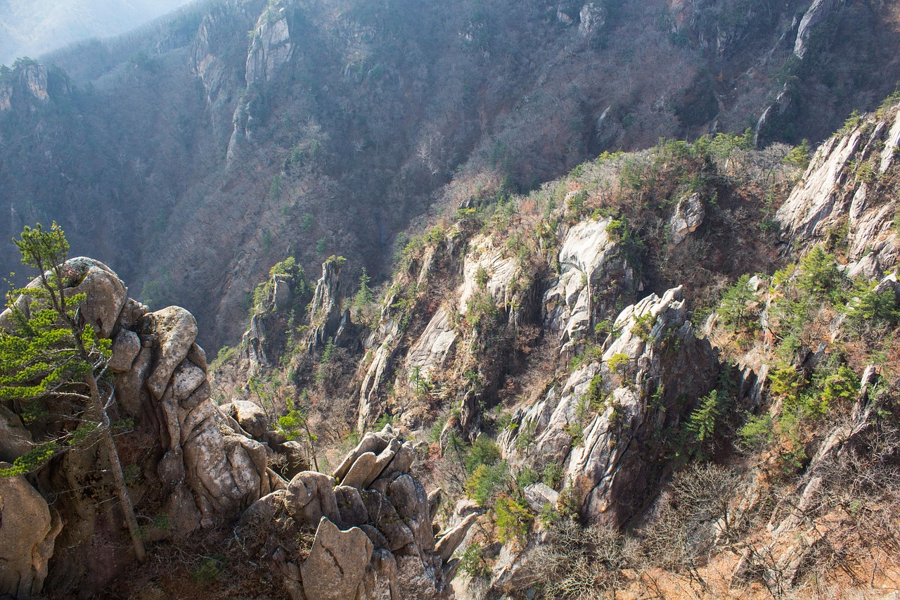 Mountains, Temples & City Lights