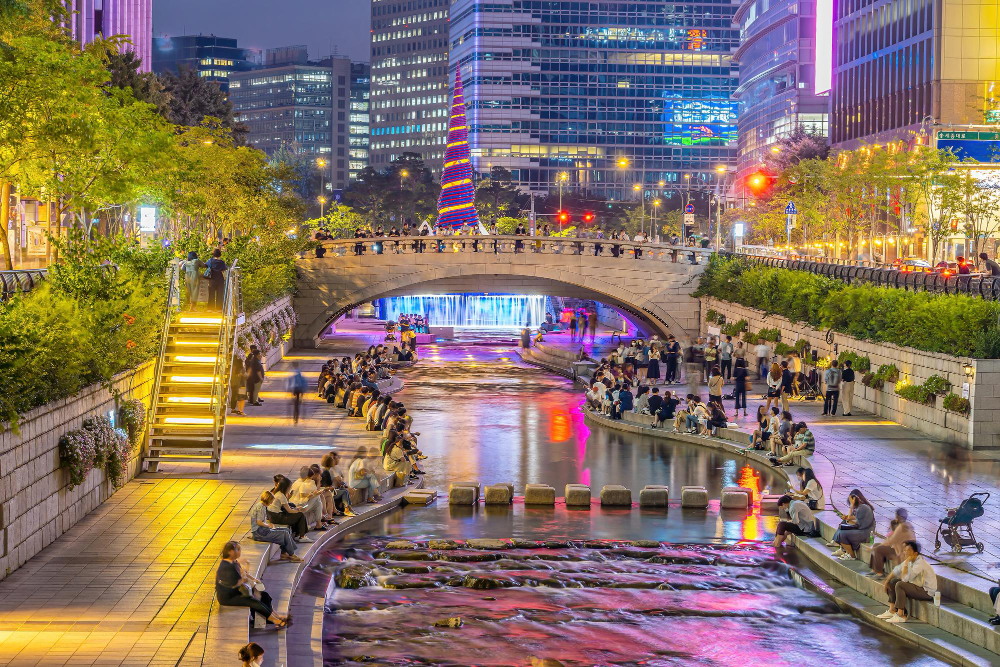 Seoul City Group Tour Experience