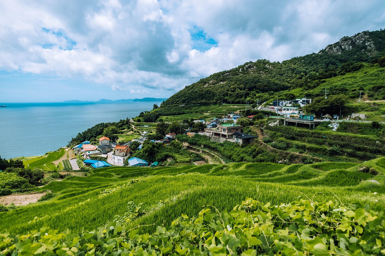 Hidden Rural Gems of Korea Tour